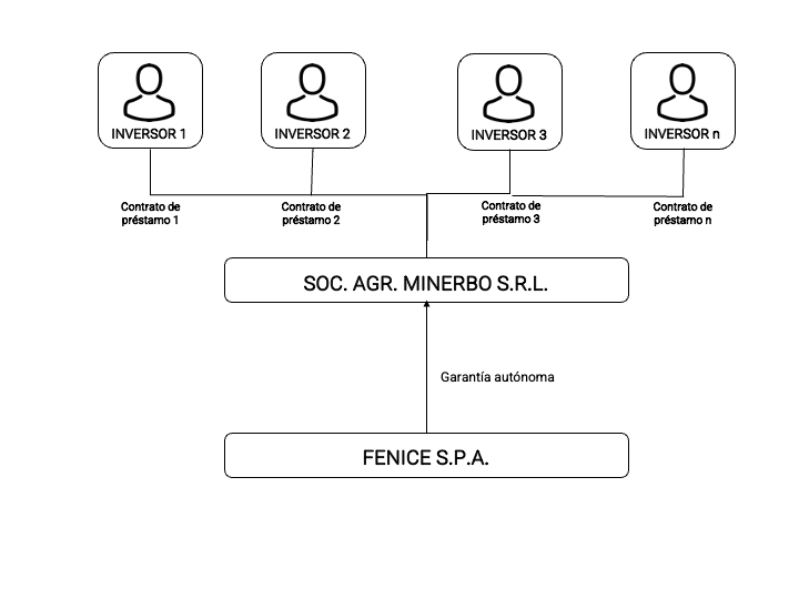 Struttura contrattuale