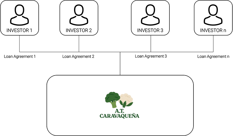 Estructura contractual