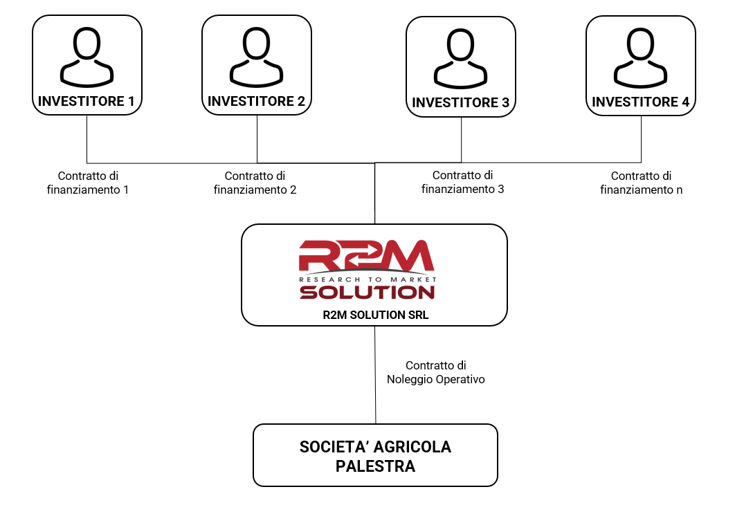 Struttura del progetto
